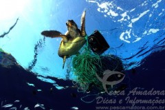 Materiais de pesca descartados no oceano - Lixo marinho - Pesca Fantasma