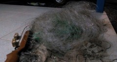 Material apreendido pela PMA do Parana em Novo Mundo-PR