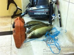 Material e pescado apreendido no Parana