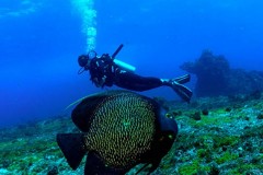 Mazzaferro e a fornecedora oficial de linhas de pesca da Selecao Brasileira de Pesca