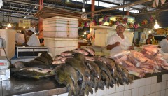 Mercado de peixes de Manaus