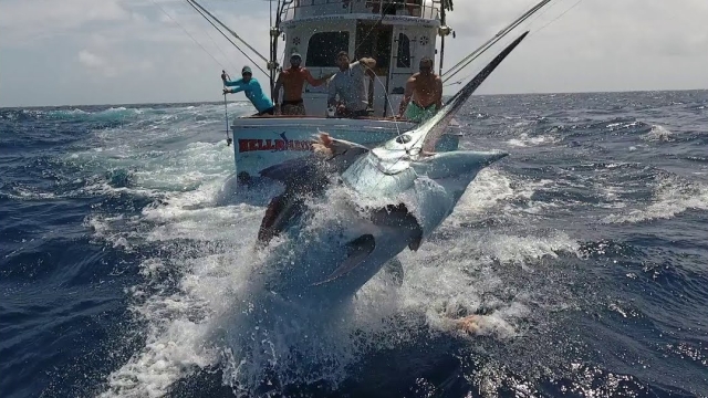 Ministério reconhece e certifica a pesca esportiva como esporte no Brasil