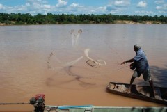 Morador do Municipio de Pedras de Maria da Cruz pesca no São Francisco (Foto: Jornal Estado de Minas)