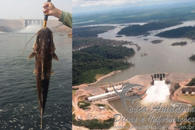 Ibama exige medidas para evitar mortandade de peixes na Hidrelétrica Teles Pires