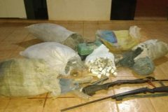 Naturatins apreende redes anzois de galho e armas de fogo durante fiscalizacao no TO 2