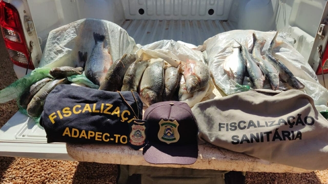 Naturatins apreende redes e pescado ilegal durante fiscalização no Tocantins