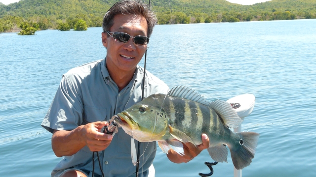 Dicas do Nelson Nakamura - Pesca do Tucunaré 