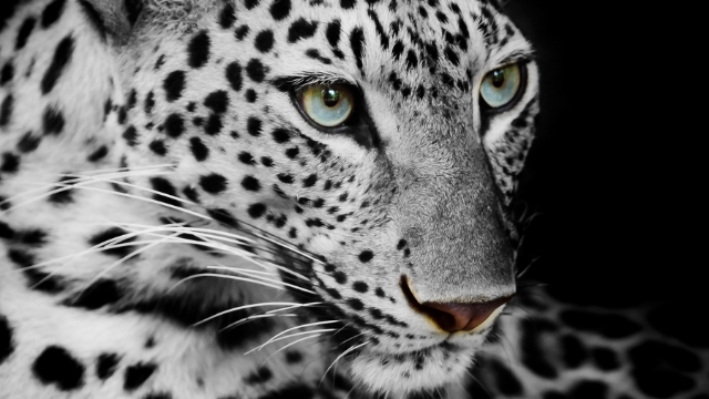 Governo sanciona lei que proíbe todas as formas de caça no Estado de São Paulo