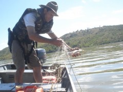 Operacao Piracema no Noroeste do estado de SP