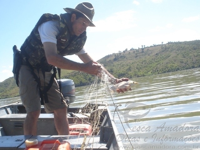 Polícia intensifica fiscalização no noroeste paulista com a Piracema