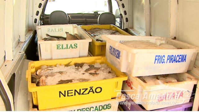 Operação “Rio Grande” resulta na apreensão de 50 km de redes e 1,3 toneladas de pescado ilegal