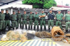 Operacao combate pesca irregular em cidades do Centro-Oeste de MG