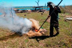 Operacao conjunta apreende 18 mil metros de redes e 450 kg de pescado ilegal na Bahia