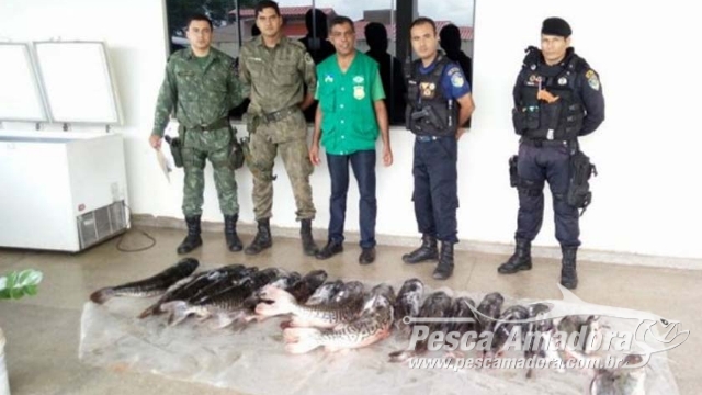 Operação conjunta resulta em apreensão de 110 kg de pescado ilegal em Cabixi (RO)