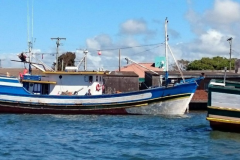 Operacao da PF e Ibama apreende 14 toneladas de pescados no RS