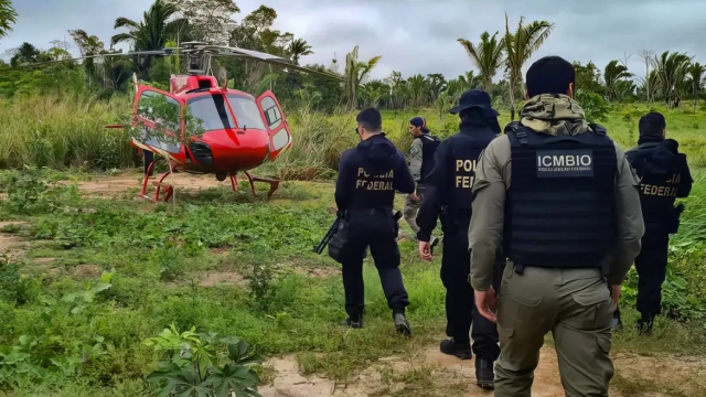 Operação da PF e IcmBio apreende 1.200 kg de pescado ilegal em Boca do Acre, no Amazonas