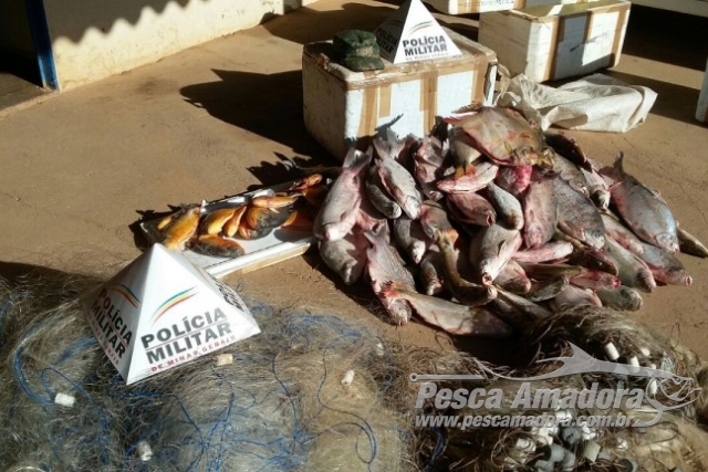 PM apreende 69 kg de peixes pescado com petrecho proibido em MG