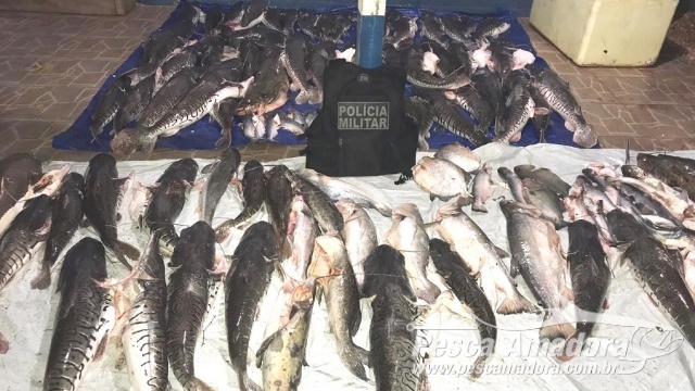 PM apreende 734 kg de pescado ilegal durante fiscalização no Rio Aripuanã (MT)