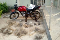 pm-apreende-duas-armas-e-17-redes-de-pesca-no-rio-jequitinhonha-em-mg