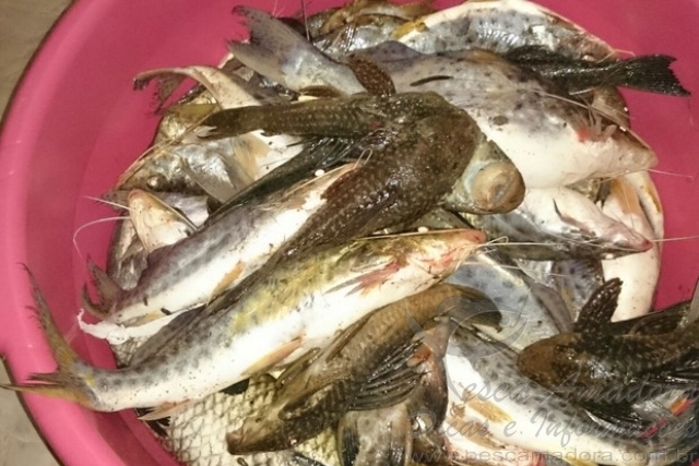 PM apreende mais de 16 kg de pescado e redes em Monte Carmelo-MG