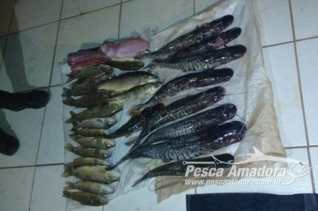 PM apreende pescado e prende quatro por pesca predatória em Barra do Garças (MT)