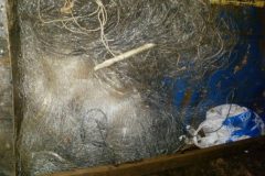 PM apreende redes de pesca e armas de fogo no Rio Chapeco em SC 2