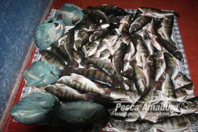 PM flagra pesca predatória e apreende 102 kg de pescado ilegal em Luciara-MT