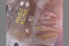 PM prende dois por pesca predatoria no Rio Araguaia-MT
