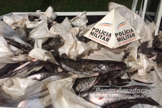 PM prende duas pessoas por transportar 400 kg de pescado ilegal em Patrocínio-MG