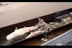 PMA aborda duas pessoas praticando pesca ilegal no Rio Cuiaba-MT