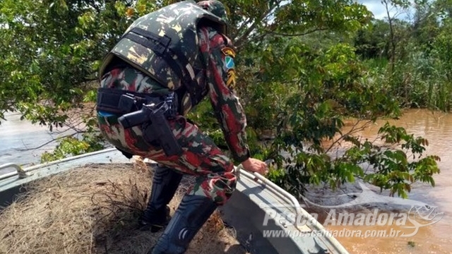 PMA aplica R$ 53 mil em multas e autua 10 infratores durante Operação Padroeira em MS