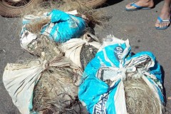 PMA apreende 1 km de redes e 28 kg de pescado ilegal em MS