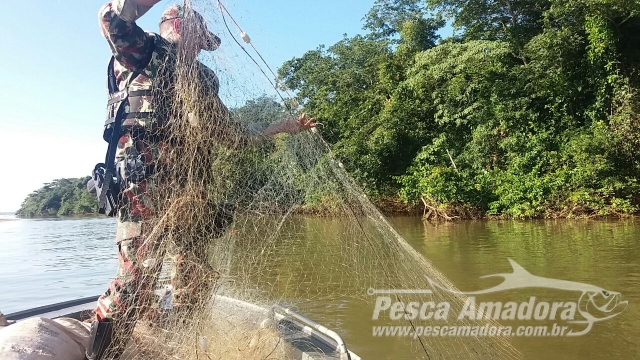PMA apreende 1 km de redes e espinheis e liberta 20 kg de pescado no rio Paraná (MS)