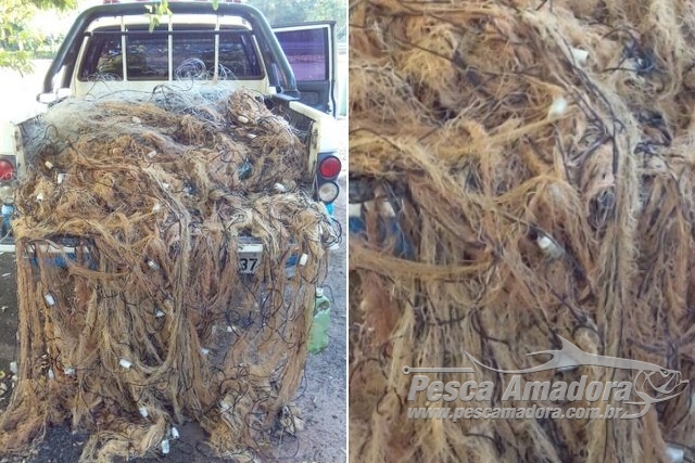 PMA apreende 1.600 m de redes de pesca e solta 30 kg de pescado no Rio Paraná-MS