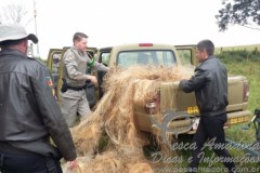 PMA apreende 1.830 m de redes e pescado ilegal no RS