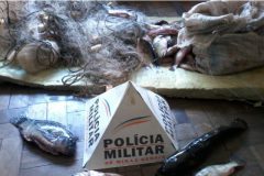 pma-apreende-100-metros-de-redes-e-pescado-ilegal-na-represa-de-chapeu-d-uvas-em-mg