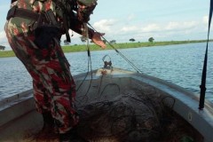 PMA apreende 1000 m de rede que cercava foz de corrego com o Rio Parana em MS