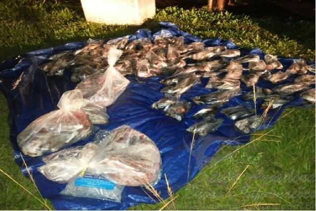 PMA apreende 103 kg de pescado ilegal em Van Escolar