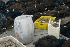 pma-apreende-105-redes-de-arrasto-e-100-kg-de-camarao-em-sc