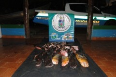 PMA apreende 107 kg de pescado e autua sete por transporte ilegal em MS
