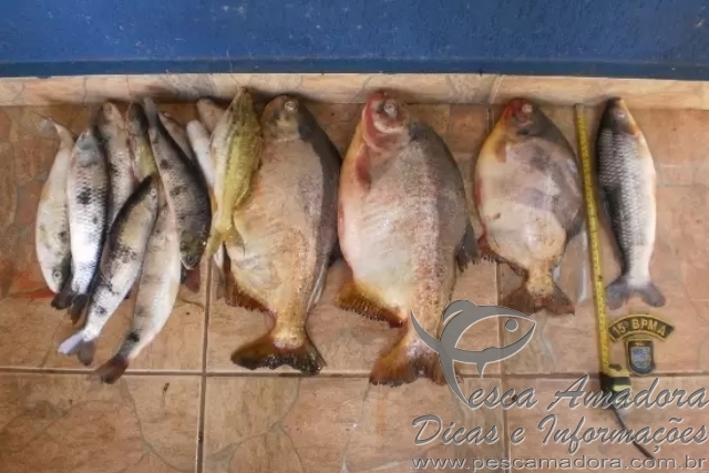 PMA apreende 11 kg de pescado ilegal e autua três no MS
