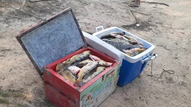 PMA apreende 116 kg de pescado ilegal durante operação no Rio Guaporé em RO