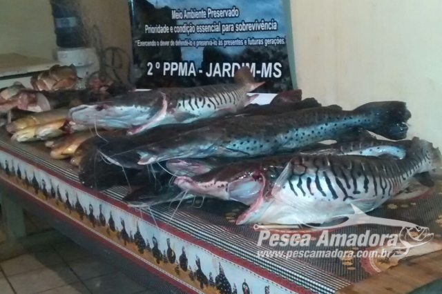 PMA apreende 124 kg de pescado ilegal em sitio no Rio Canindé-MS