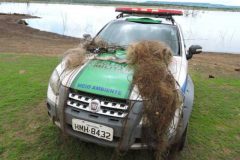 pma-apreende-134-metros-de-rede-durante-fiscalizacao-no-rio-paranaiba-em-mg