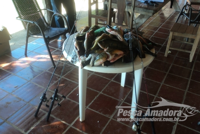 PMA apreende 14 kg de pescado e autua sete turistas por pesca ilegal em MS
