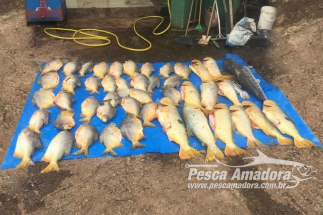 PMA apreende 140 kg de pescado durante fiscalização no Rio Vermelho em MT