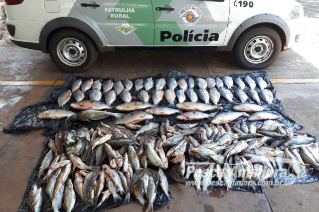 PMA apreende 148,6 kg de pescado ilegal em Votuporanga (SP) e Macaubal (SP)