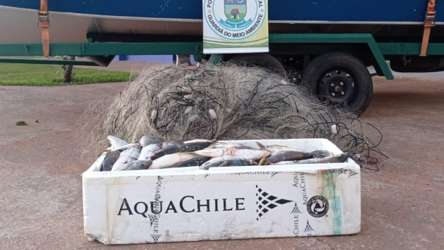PMA apreende 1500 metros de redes de pesca e 50 kg de pescado ilegal no rio Sucuriú (MS)