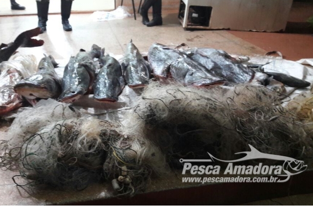PMA apreende 163 kg de pescado ilegal e 510 metros de rede de pesca em MS