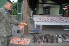 PMA apreende 175 kg de pescado ilegal no Rio Itiquira-MT